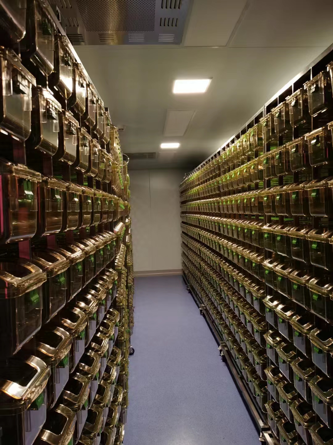 pg电子模拟器(中国)官方网站